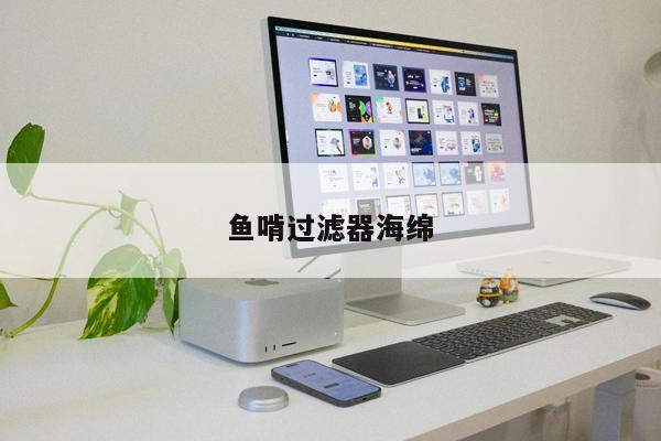 魚啃過濾器海綿